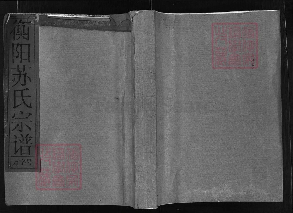 图片[1]-浙江兰溪衡阳苏氏宗谱电子版PDF下载-中华家谱网