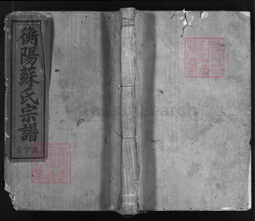 图片[1]-浙江兰溪衡阳苏氏宗谱（民国元年本）电子版PDF下载-中华家谱网