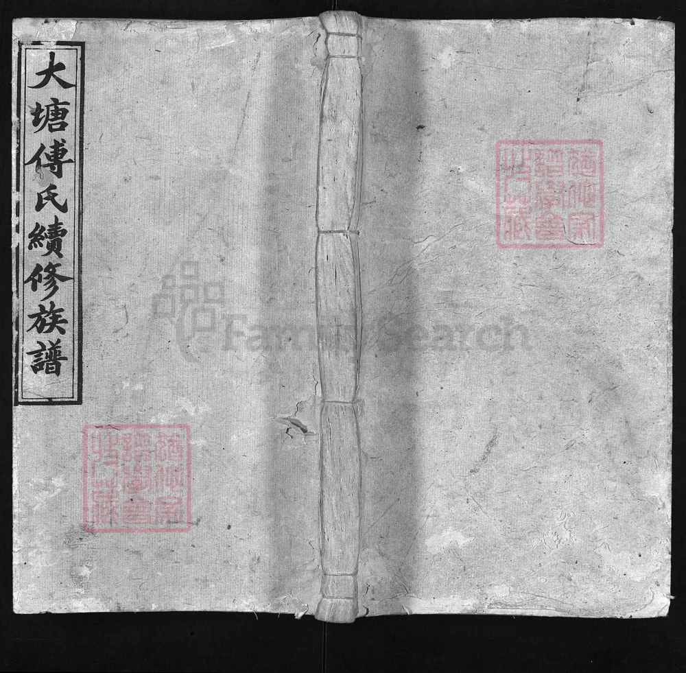 图片[1]-湖南湘乡大塘傅氏续修族谱（霖雨堂）电子版PDF下载-中华家谱网