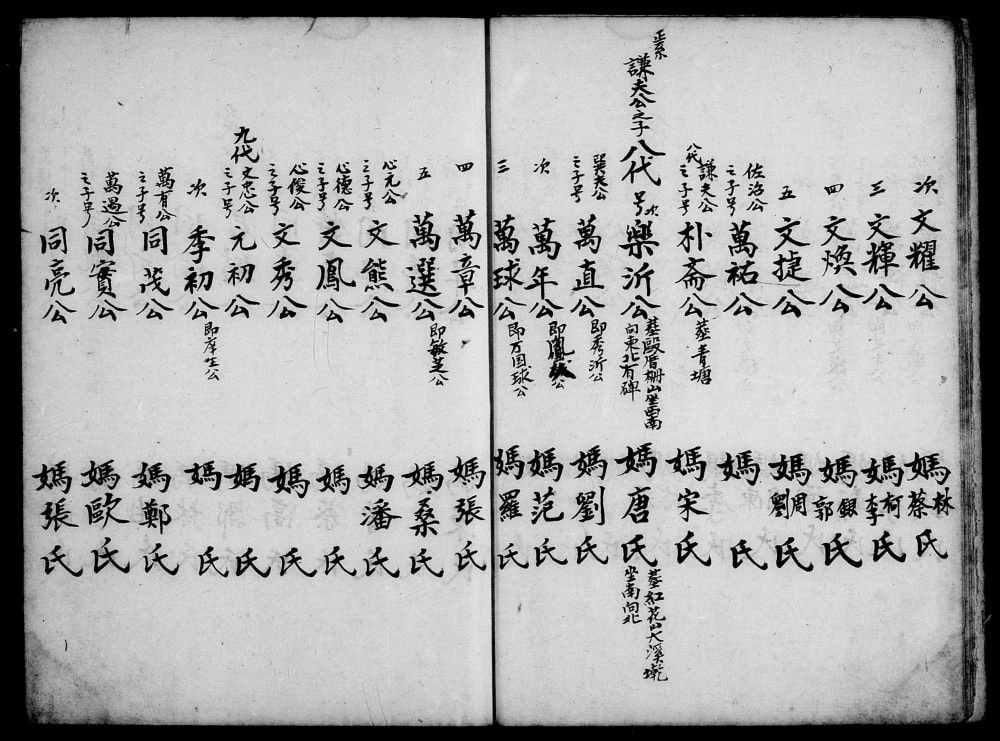 图片[8]-台湾新竹县姜氏族谱传流电子版PDF下载-中华家谱网