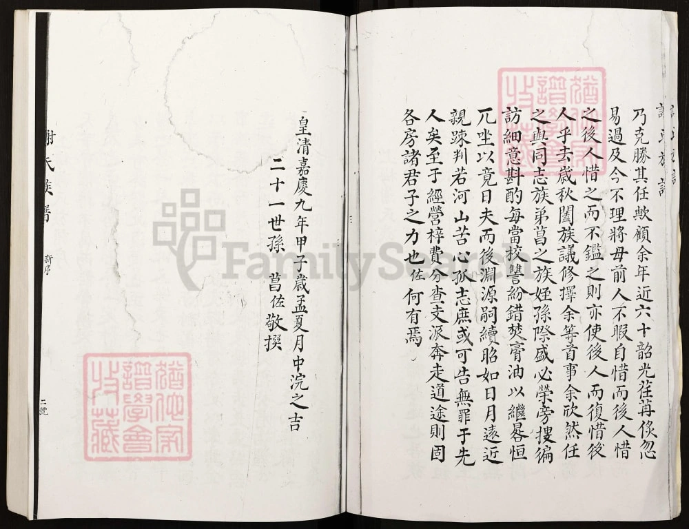 图片[3]-湖南新化谢氏族谱电子版PDF下载-中华家谱网