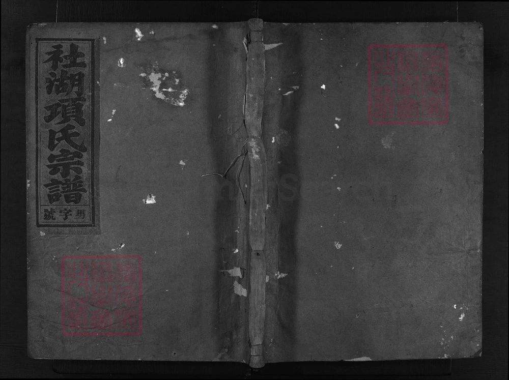 图片[1]-浙江兰溪社湖辽西项氏宗谱电子版PDF下载-中华家谱网