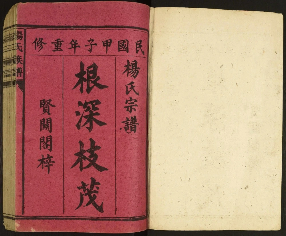 图片[1]-广东韶关杨氏族谱电子版PDF下载-中华家谱网