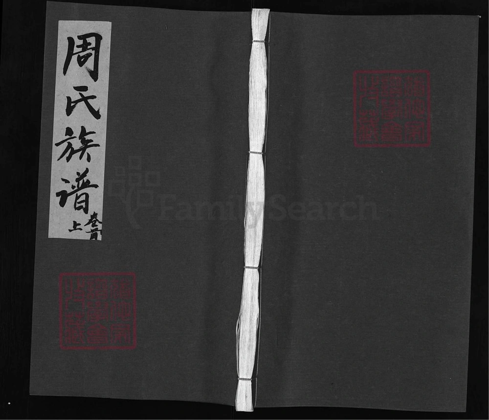 图片[1]-湖南浏阳周氏族谱（汝南堂）电子版PDF下载-中华家谱网