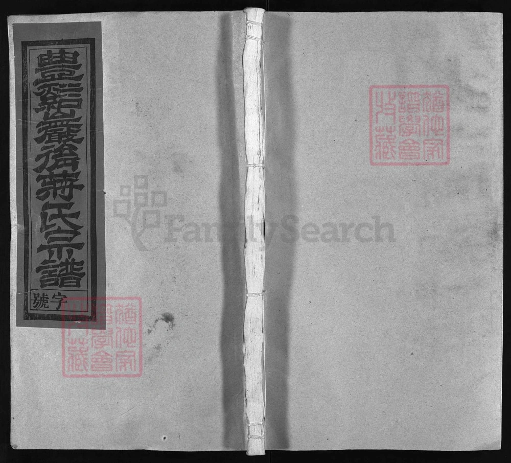 图片[1]-江西上饶广丰区丰溪岩后蒋氏宗谱（三径堂）电子版PDF下载-中华家谱网