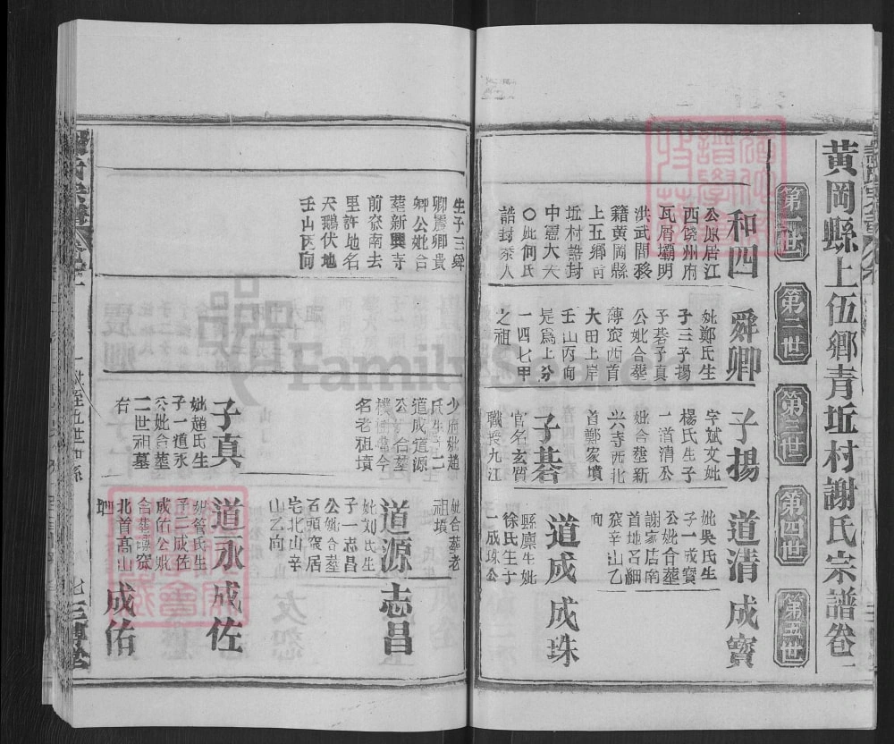 图片[6]-湖北黄冈谢氏宗谱（三传堂）电子版PDF下载-中华家谱网