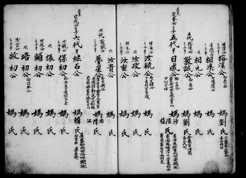 图片[5]-台湾新竹县姜氏族谱传流电子版PDF下载-中华家谱网