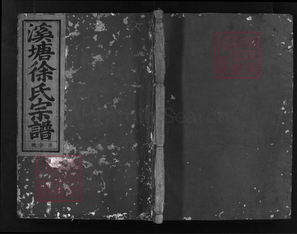 图片[1]-浙江兰溪金山徐氏宗谱（种德堂）电子版PDF下载-中华家谱网