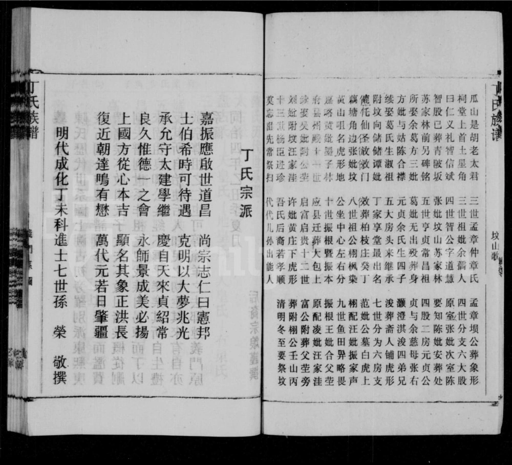 图片[4]-安徽怀宁丁氏族谱电子版PDF下载-中华家谱网