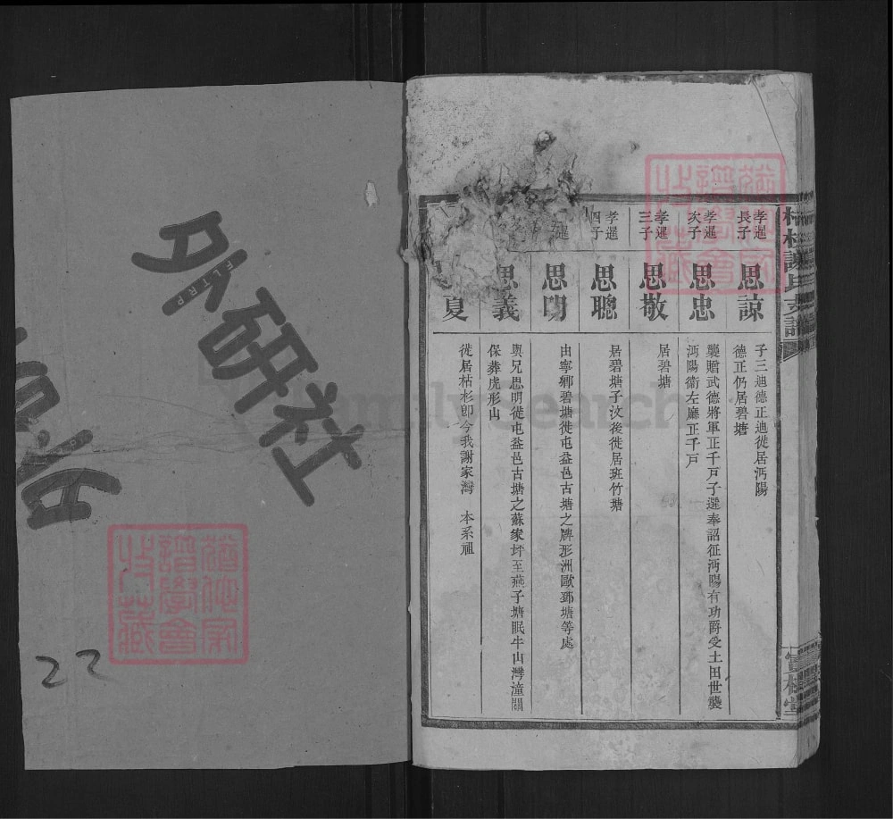 图片[8]-湖南宁乡枯杉谢氏支谱（宝树堂）电子版PDF下载-中华家谱网