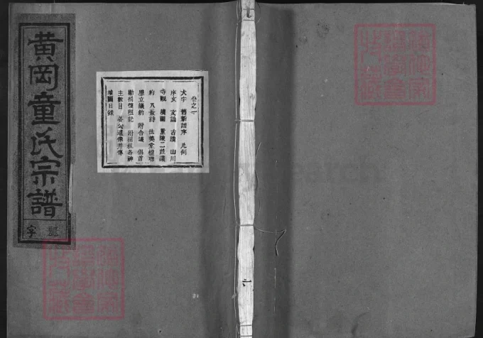 浙江兰溪黄冈童氏宗谱（世美堂）电子版PDF下载-中华家谱网