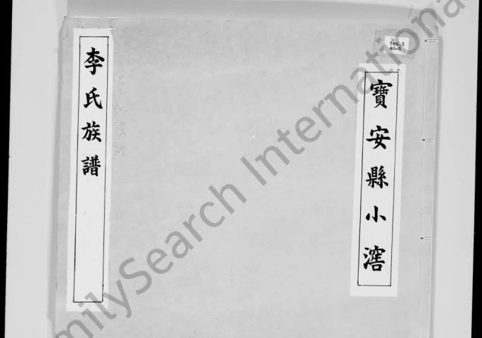 广东深圳宝安县小滘李氏族谱-中华家谱网