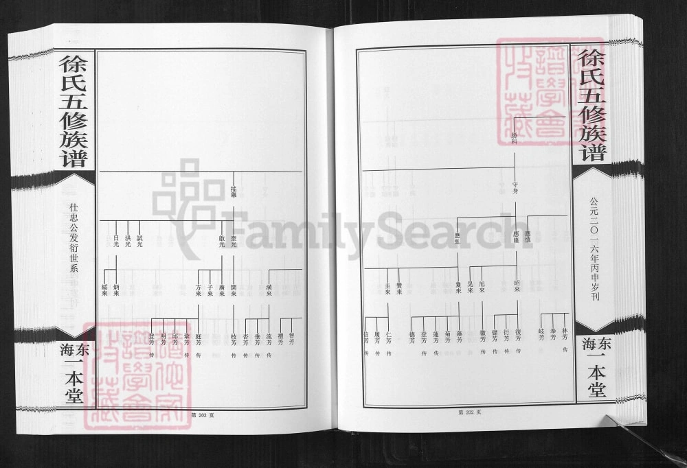 图片[8]-湖南岳阳湘阴县徐氏家谱仕忠公支族（一本堂）电子版PDF下载-中华家谱网