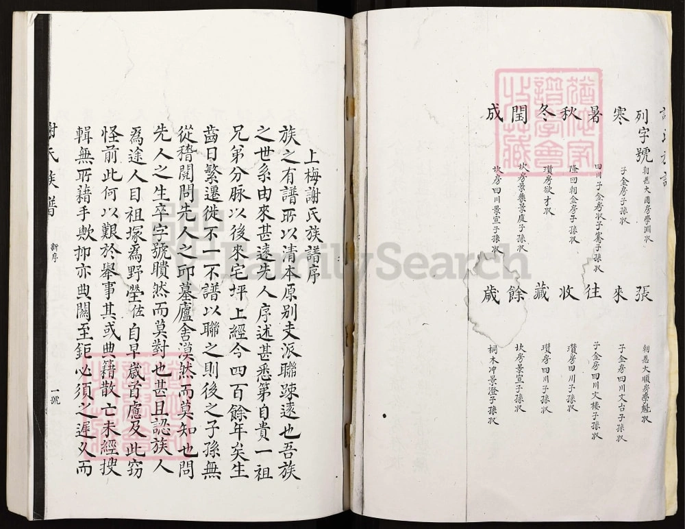 图片[2]-湖南新化谢氏族谱电子版PDF下载-中华家谱网