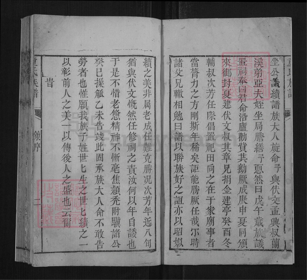 图片[2]-湖南岳阳平江童氏族谱电子版PDF下载-中华家谱网