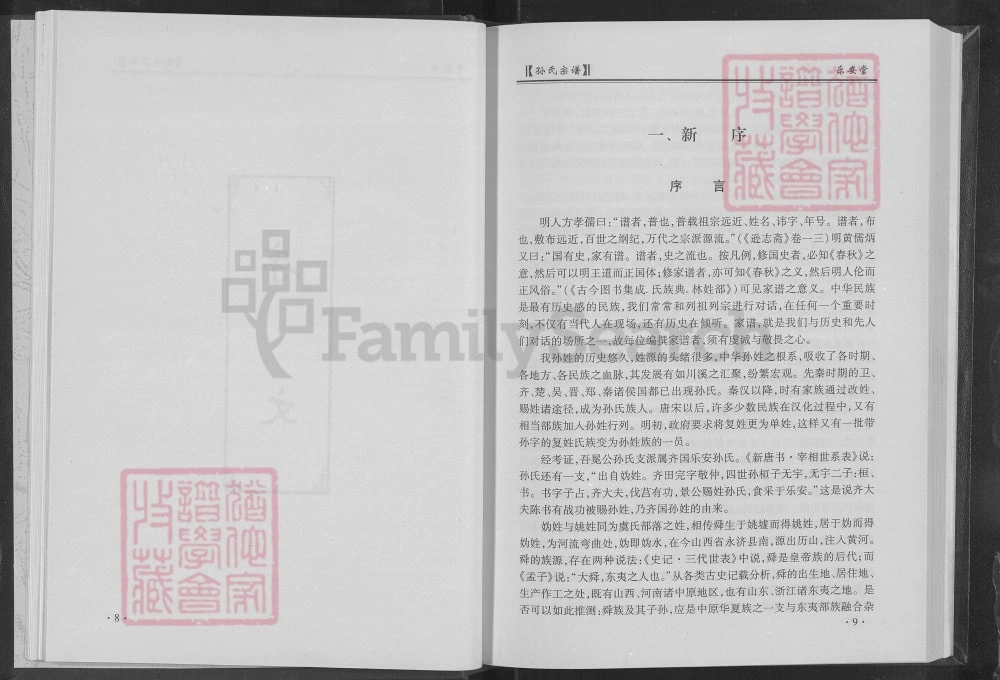 图片[2]-湖北孙氏宗谱冕公裔入楚支系（乐安堂）电子版PDF下载-中华家谱网