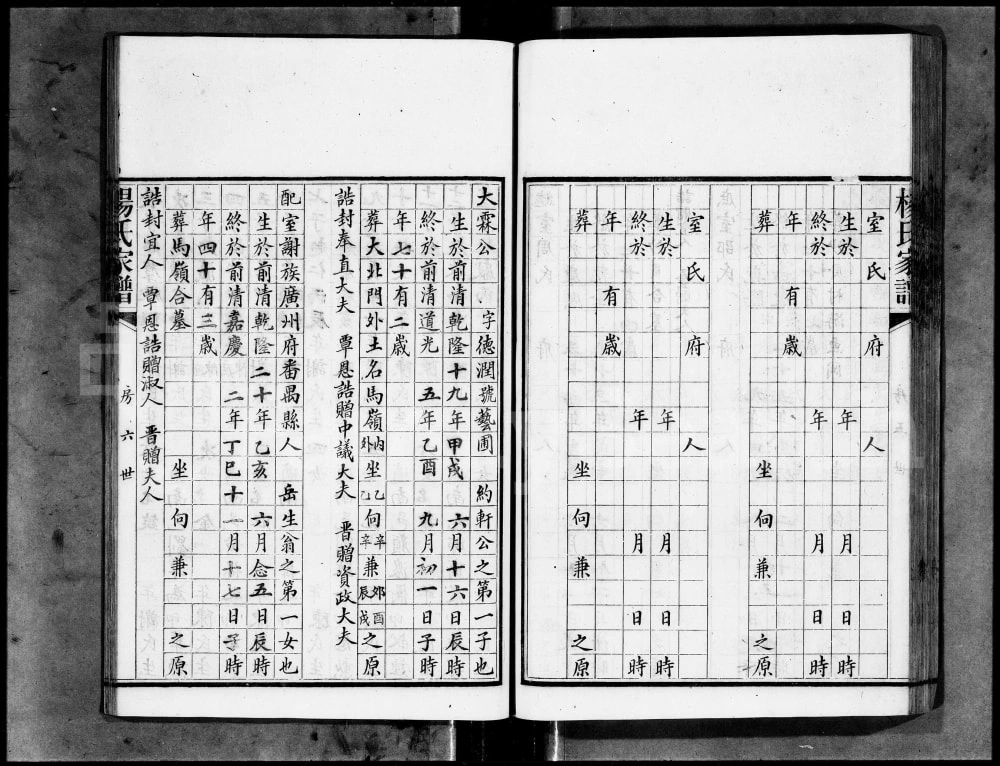 图片[6]-广东广州城西杨氏家谱电子版PDF下载-中华家谱网