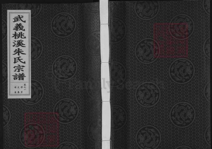 浙江金华武义桃溪朱氏宗谱-中华家谱网