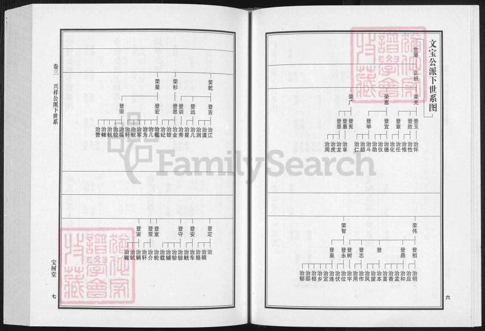图片[7]-湖南邵阳宝庆大东路谢氏通修族谱（宝树堂）电子版PDF下载-中华家谱网