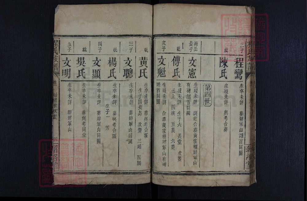 图片[8]-湖南常德程氏宗谱（绍洛堂）电子版PDF下载-中华家谱网