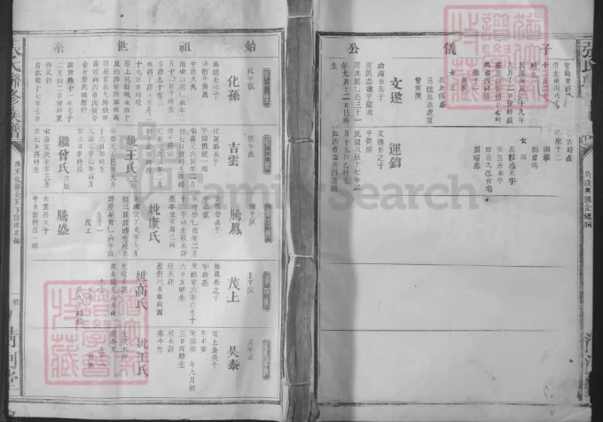 江西兴国张氏联修族谱(清河堂)电子版PDF下载-中华家谱网