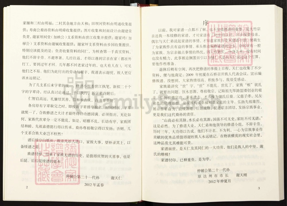 图片[4]-四川达州达县谢氏初修谱电子版PDF下载-中华家谱网