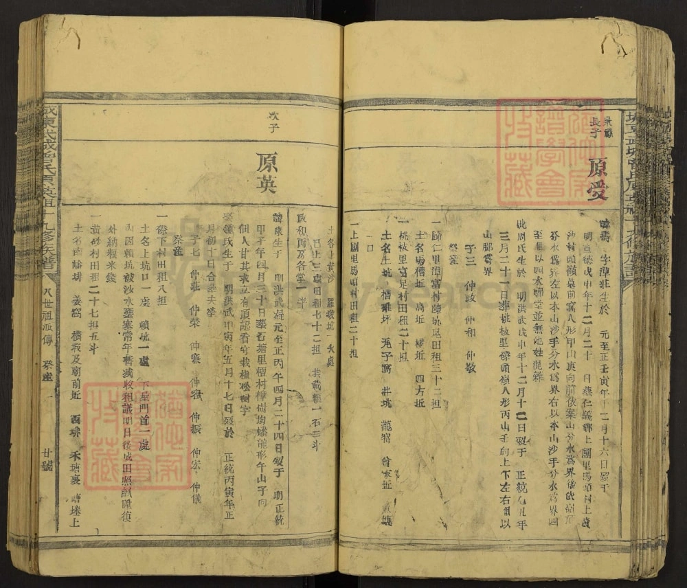 图片[6]-江西赣州宁都县城东武城曾氏原英祖十九修族谱电子版PDF下载-中华家谱网