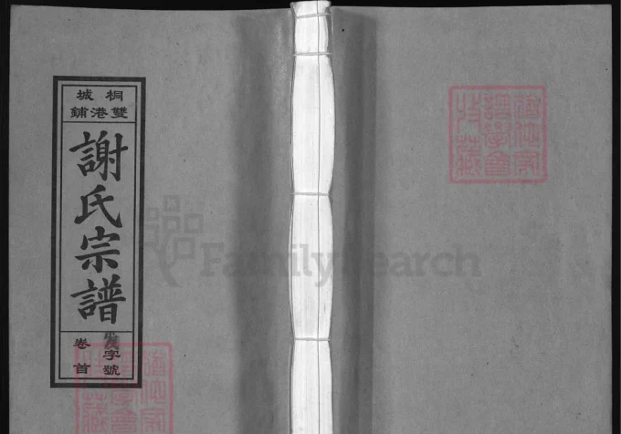 安徽桐城双港铺谢氏宗谱（宝树堂）-中华家谱网