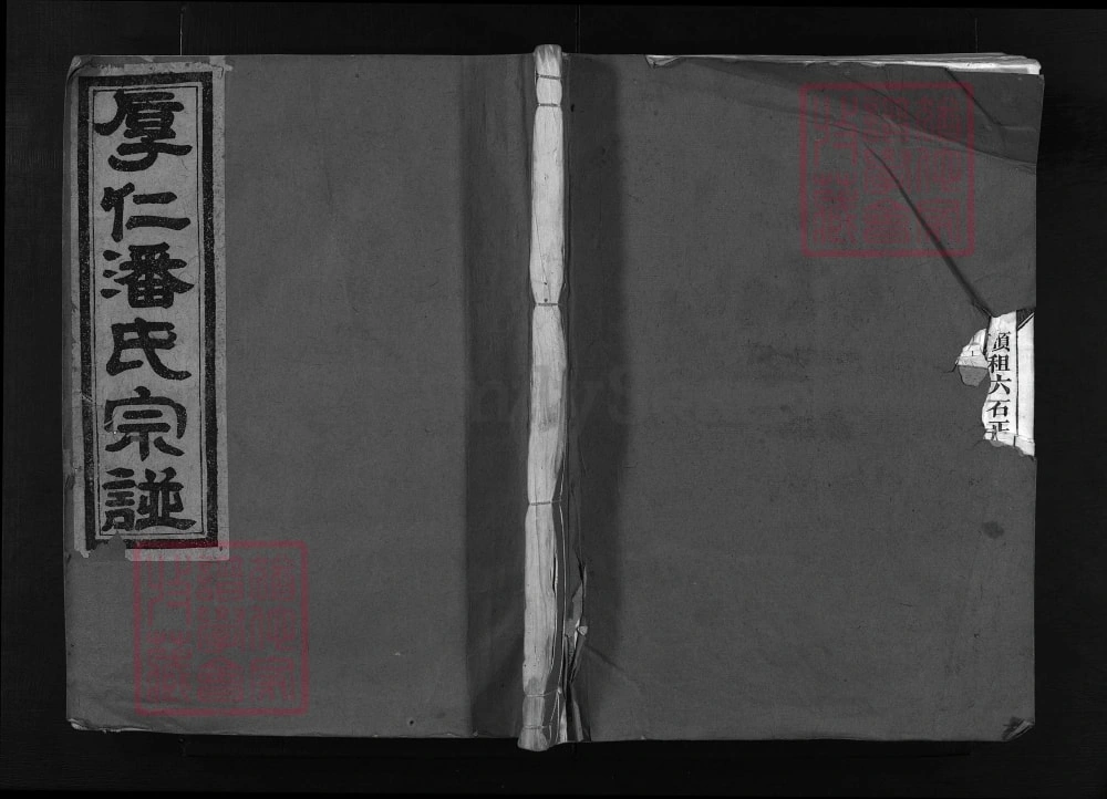 图片[1]-浙江兰溪厚仁潘氏宗谱（九思堂）电子版PDF下载-中华家谱网