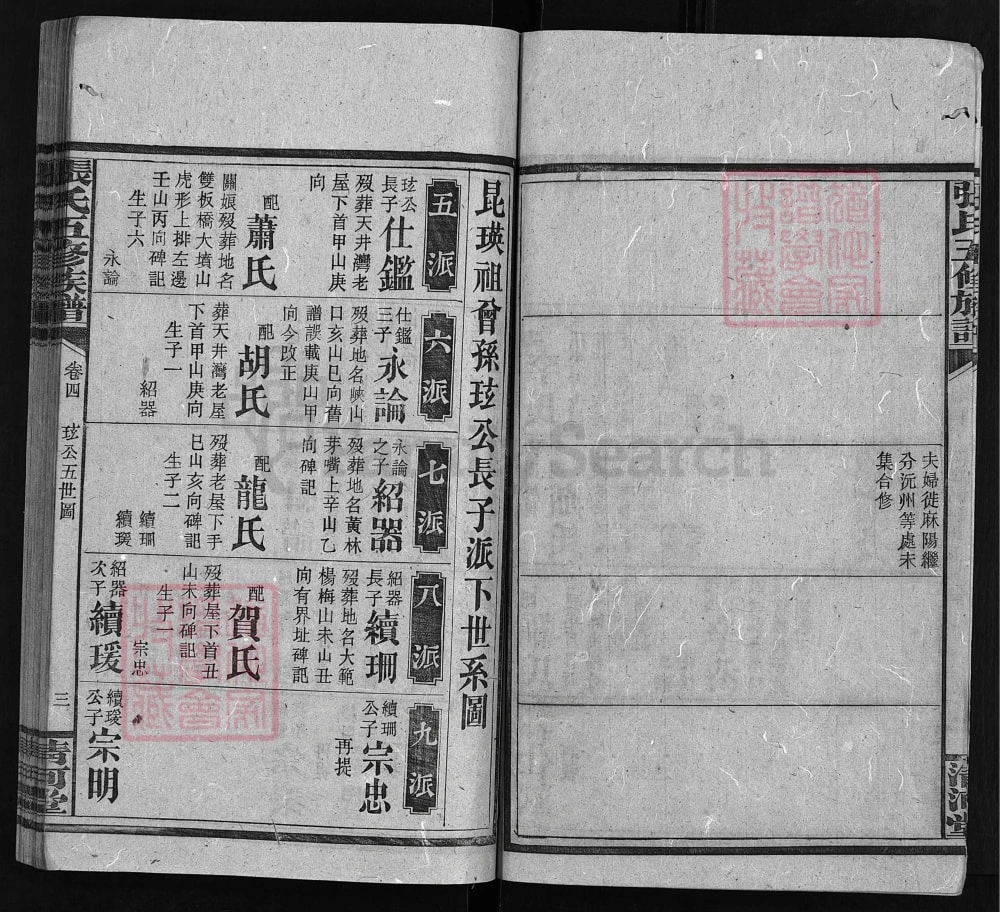 图片[8]-湖南安化张氏五修族谱（清河堂）电子版PDF下载-中华家谱网