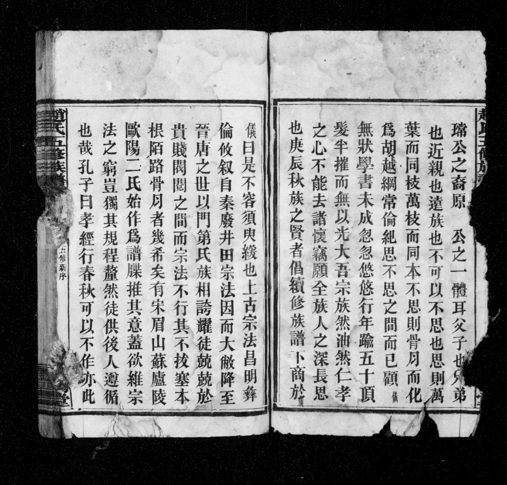 图片[3]-湖南安化赵氏五修族谱（琴鹤堂）电子版PDF下载-中华家谱网