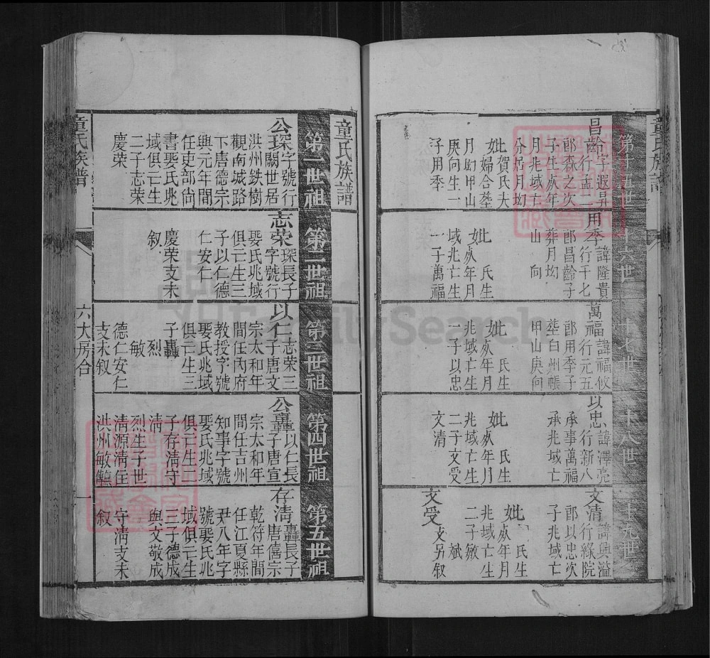 图片[4]-湖南岳阳平江童氏族谱电子版PDF下载-中华家谱网