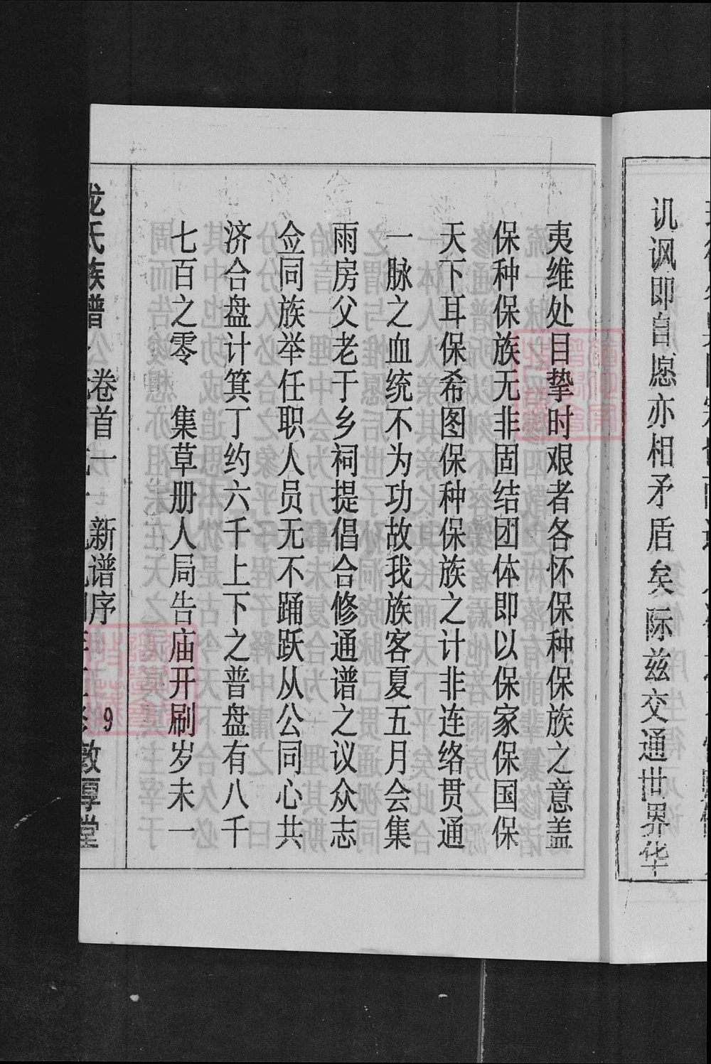 图片[3]-湖南耒阳龙氏族谱（敦厚堂）电子版PDF下载-中华家谱网