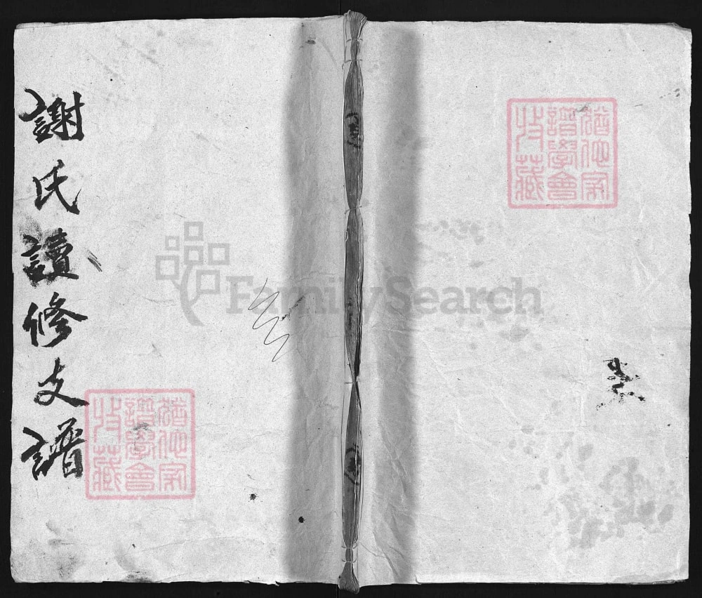 图片[1]-湖南益阳澬阳谢氏续修支谱（东山堂）电子版PDF下载-中华家谱网