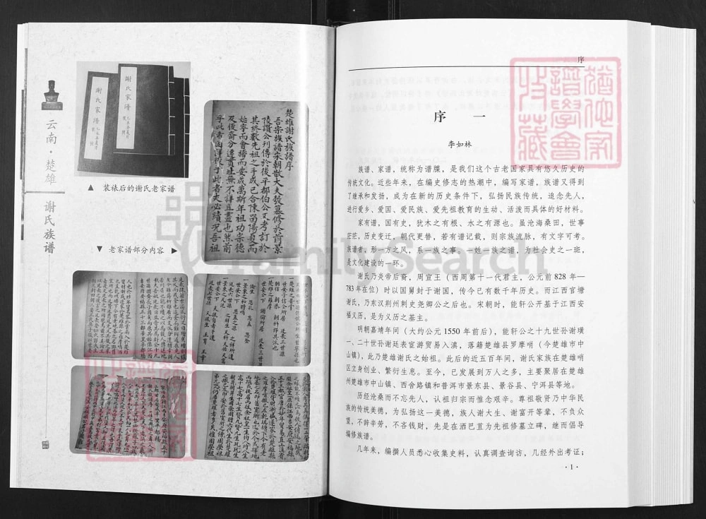 图片[3]-云南楚雄谢氏族谱电子版PDF下载-中华家谱网