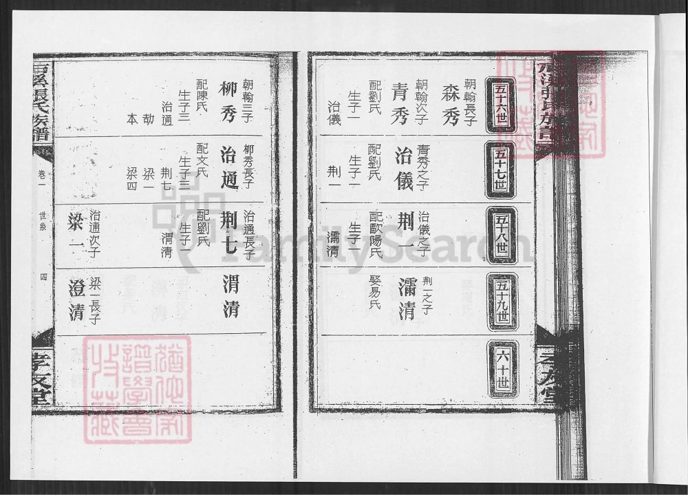 图片[5]-江西宜春西村镇下石溪张氏族谱（孝友堂）电子版PDF下载-中华家谱网