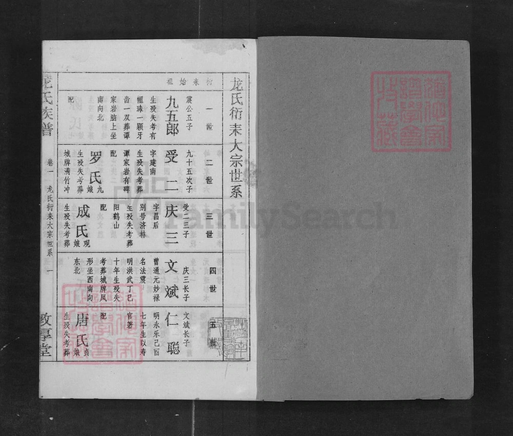 图片[5]-湖南耒阳龙氏族谱（敦厚堂）电子版PDF下载-中华家谱网