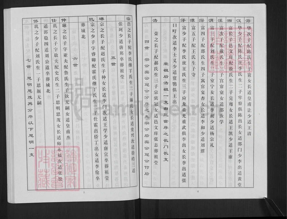 图片[6]-江苏徐州丰县古丰孙氏族谱（东安堂）电子版PDF下载-中华家谱网