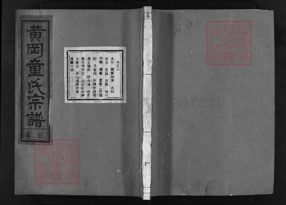 图片[1]-浙江兰溪黄冈童氏宗谱（世美堂）电子版PDF下载-中华家谱网