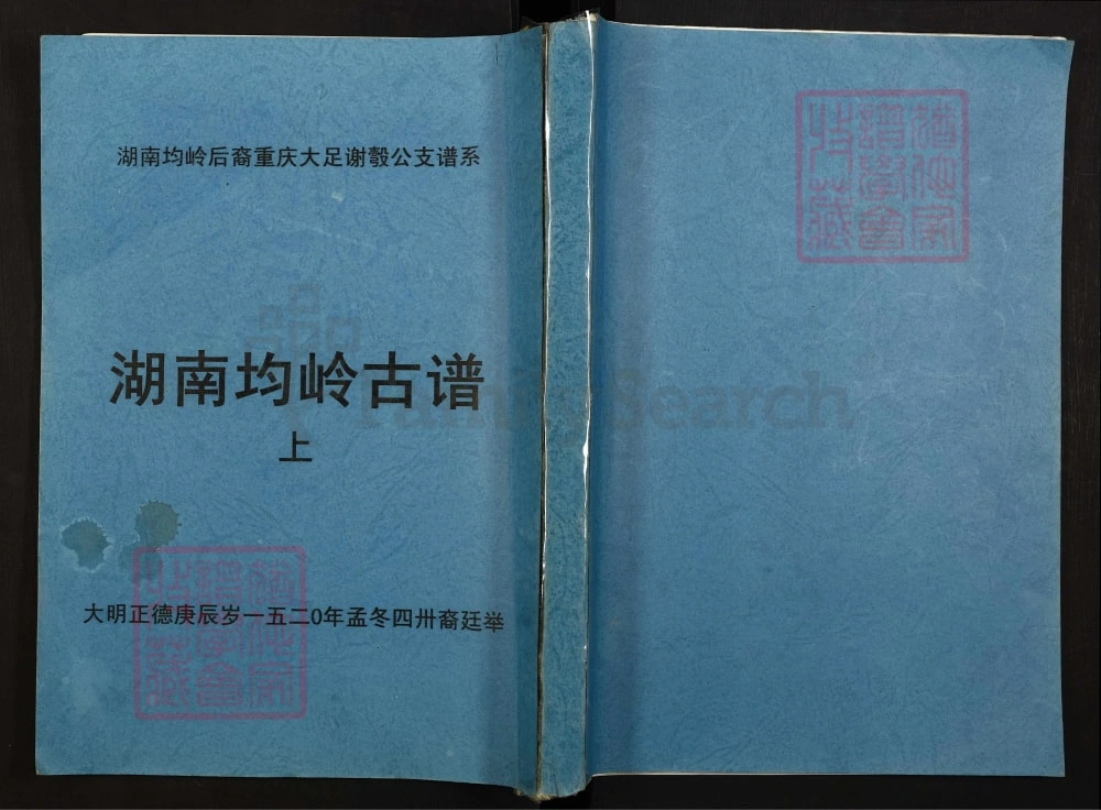 图片[1]-湖南郴州宜章县均岭谢姓氏族源流电子版PDF下载-中华家谱网