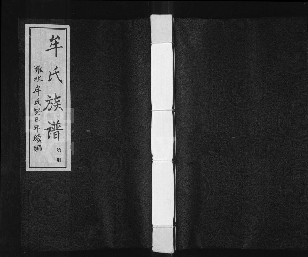 图片[1]-山东潍坊潍水派牟氏族谱电子版PDF下载-中华家谱网