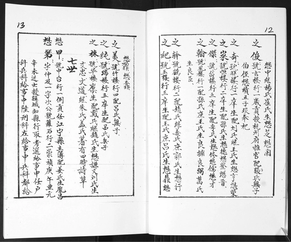 图片[7]-山东莱阳左氏家谱电子版PDF下载-中华家谱网