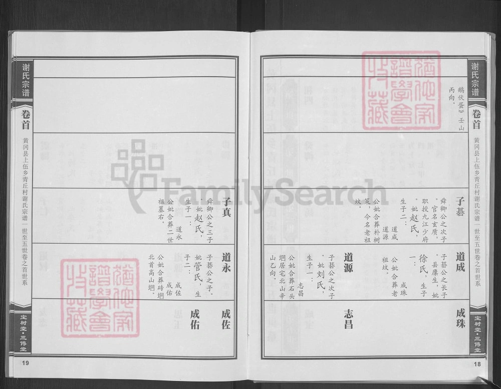 图片[8]-湖北黄冈谢氏宗谱（宝树堂、三传堂）电子版PDF下载-中华家谱网