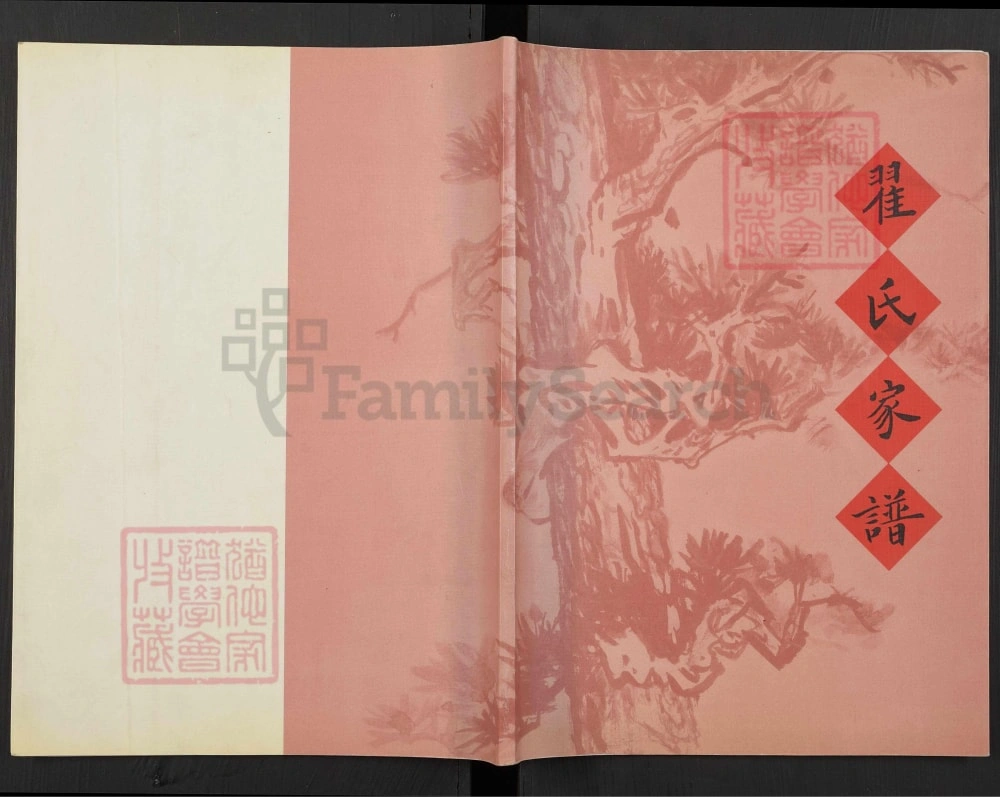 图片[1]-辽宁凌海翟氏家谱电子版PDF下载-中华家谱网