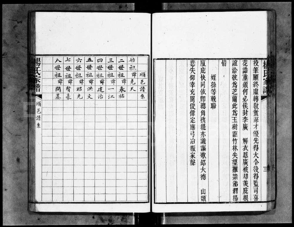 图片[5]-广东广州城西杨氏家谱电子版PDF下载-中华家谱网