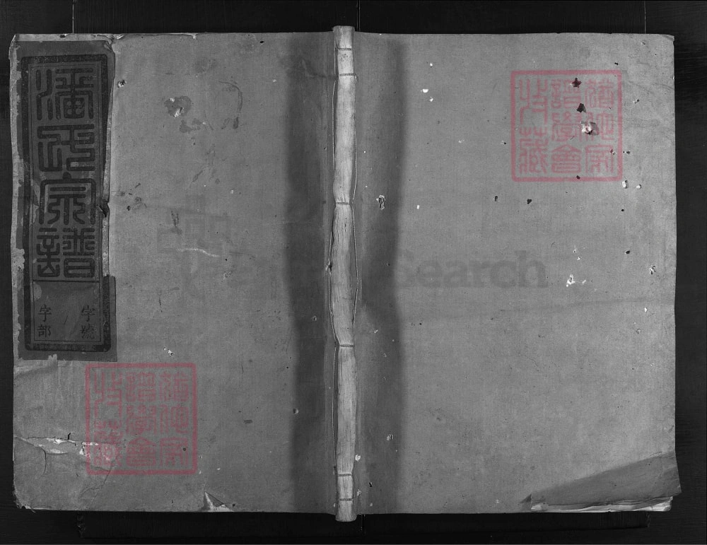 图片[1]-浙江兰溪石龙头潘氏宗谱（振清堂）电子版PDF下载-中华家谱网