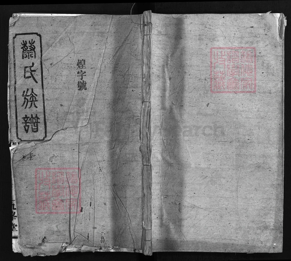 图片[1]-湖南常德蔡氏族谱（九峰堂）电子版PDF下载-中华家谱网