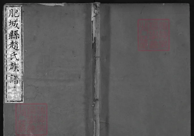 山东肥城赵氏族谱-中华家谱网