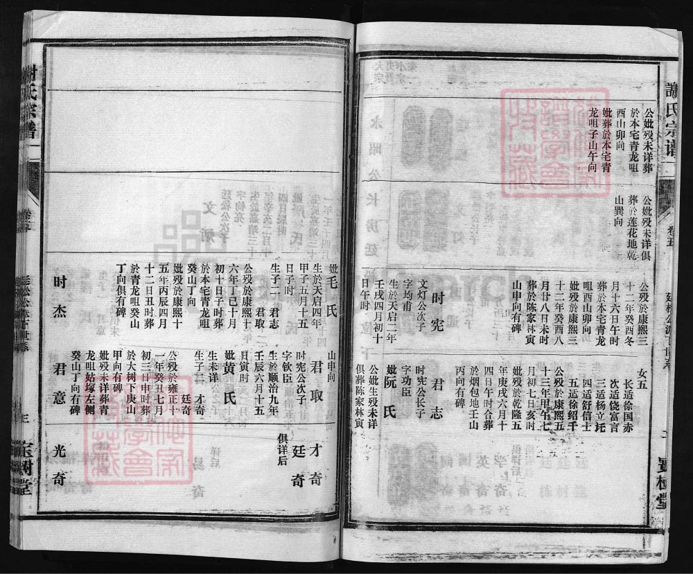 图片[8]-湖北大冶谢氏宗谱（宝树堂）电子版PDF下载-中华家谱网