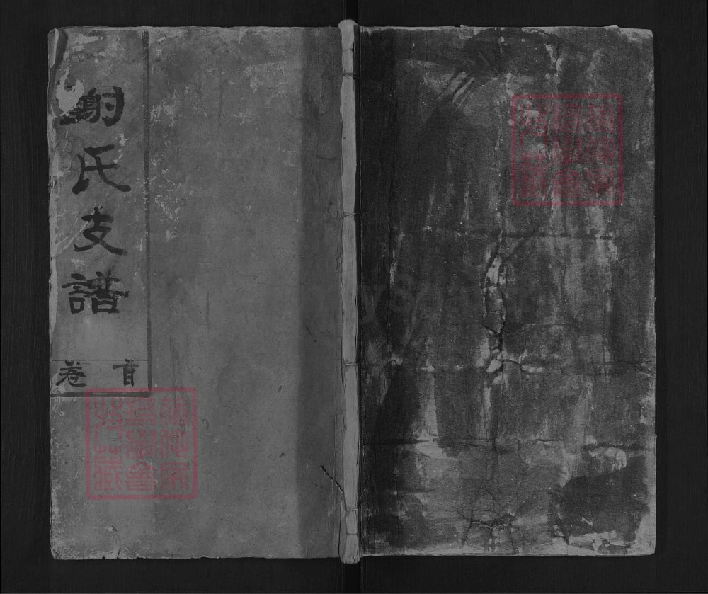 图片[1]-湖南宁乡枯杉谢氏支谱（宝树堂）电子版PDF下载-中华家谱网